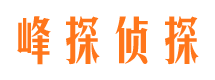 临高外遇调查取证